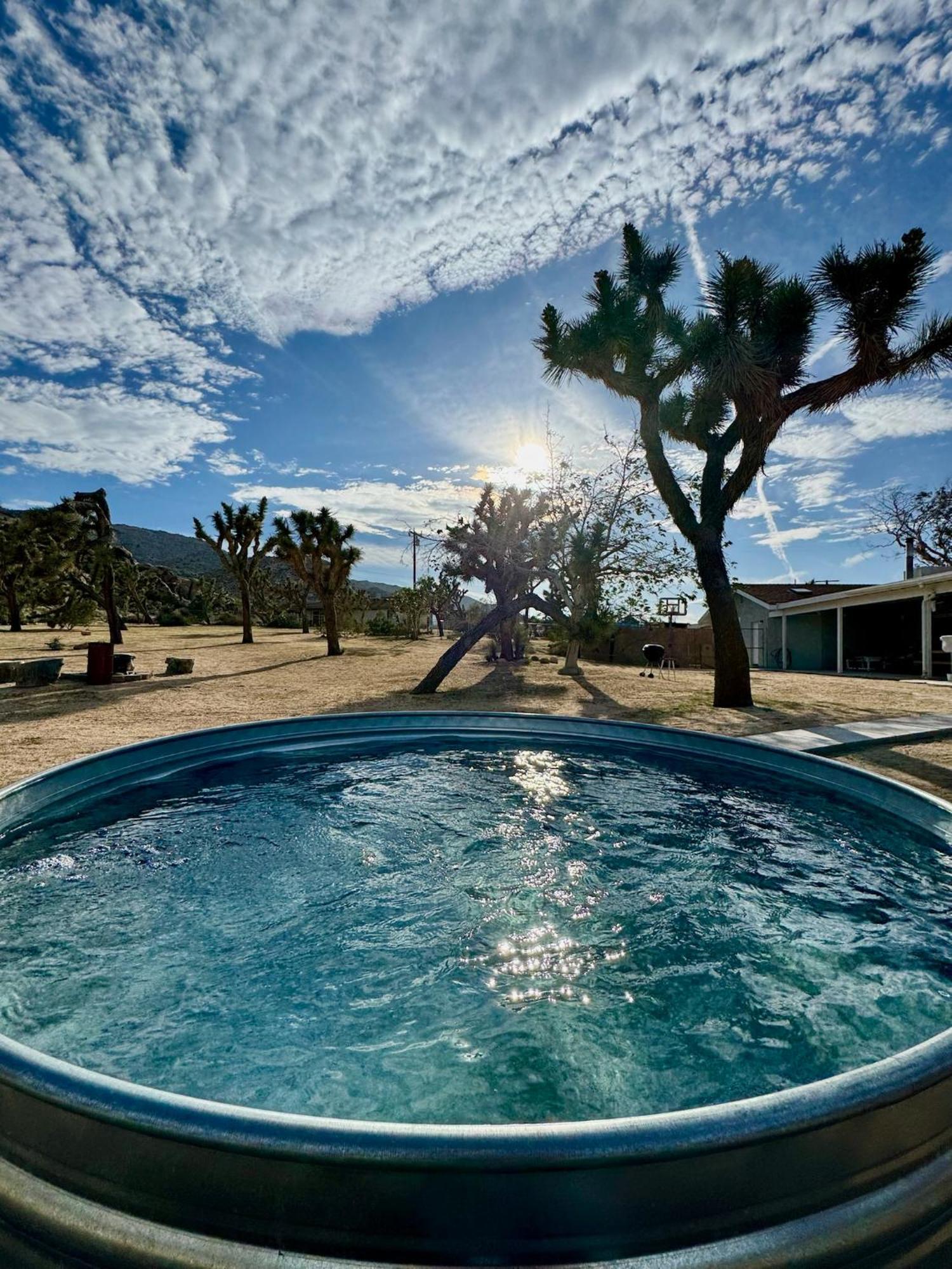 Epic Views, Huge House, Acres Of J-Trees To Explore, Hot Tub, Pool, Ac, And Mini-Golf Джошуа-Три Экстерьер фото